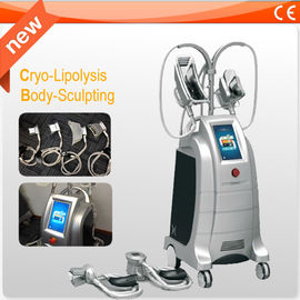 เครื่องลดน้ำหนัก Cryolipolysis 4 เครื่องลดความอ้วนเพื่อการลดไขมันอย่างรวดเร็ว