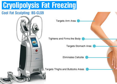 4 จับเครื่องลดไขมันแช่แข็ง Cryolipolysis ร่างกายสำหรับลดน้ำหนัก / ลดเซลลูไลท์