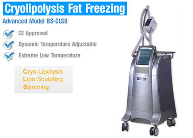 เครื่องกระชับสัดส่วน / สร้างรูปร่าง Cryolipolysis ไขมันแช่แข็งด้วยการควบคุมอุณหภูมิอัจฉริยะ