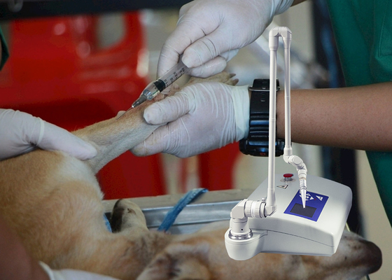 เครื่องมือทางการแพทย์สัตวแพทย์เครื่อง CO2 Fractional Laser สำหรับสุนัข / โรงพยาบาลสัตว์