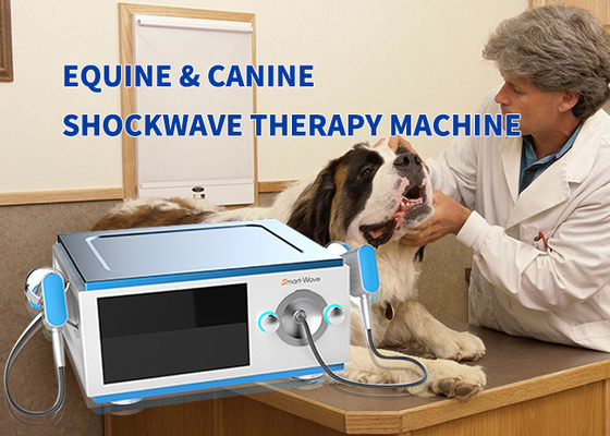 เครื่อง Shockwave ม้าทางกายภาพของสัตว์ขนาดเล็กสำหรับการรักษาม้า