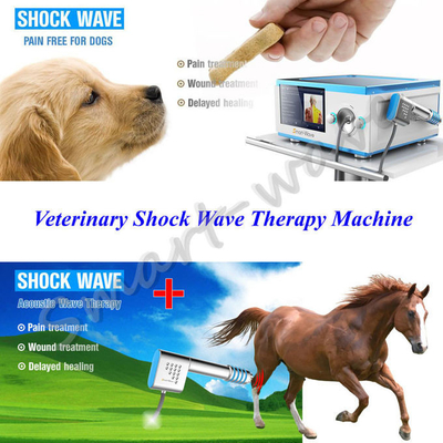เครื่องส่งสัญญาณที่เน้นการบำบัดด้วย Shockwave Horse สำหรับอาการปวดหลัง