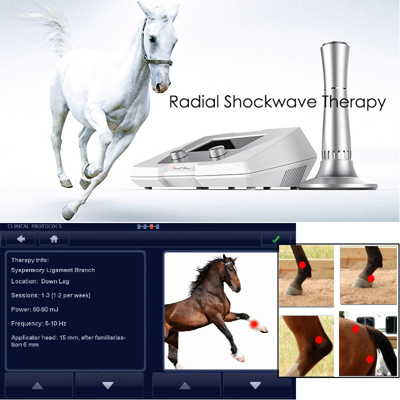 Tendon Injury Equine Medical Physiotherapy Equipment