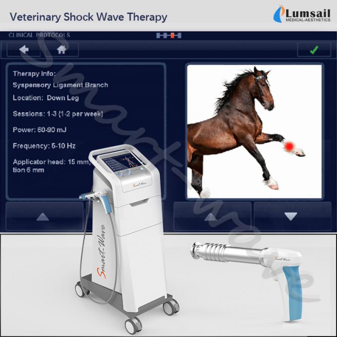 กายภาพบำบัดสัตวแพทย์สัตว์เลี้ยงขนาดเล็กใช้การบำบัด shockwave extracorporeal ม้าเครื่องช็อกเวฟม้า