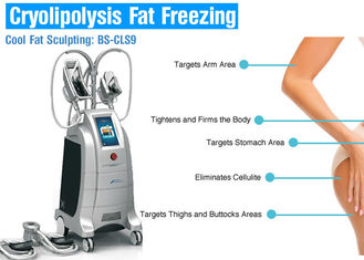 Cryolipolysis อุปกรณ์ลดน้ำหนัก Slimming Machine