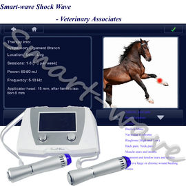เครื่องสัตวแพทย์ Shockwave สำหรับสัตว์แพทย์สำหรับเอ็น Patellar