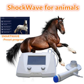อุปกรณ์เครื่อง Shockwave สำหรับม้า / สุนัข / ม้าสีขาว