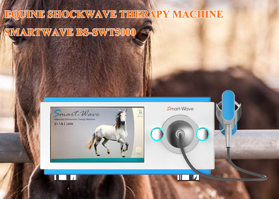 ESWT Horses อุปกรณ์บำบัด Shockwave Extracorporeal