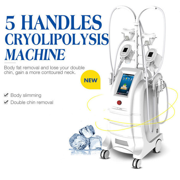 5 จับเครื่องแช่แข็งไขมัน Cryolipolysis Body Sculpting Machine สำหรับการลดไขมัน