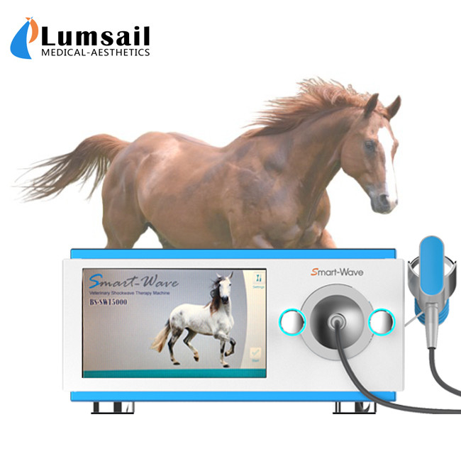 Physiotherapy Race Horses Shockwave Therapy Machine